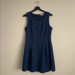 *Professional* Blue Dress